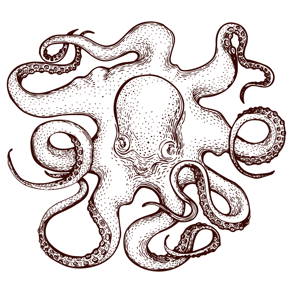 A detailed black and white illustration of a seashell with intricate line patterns.