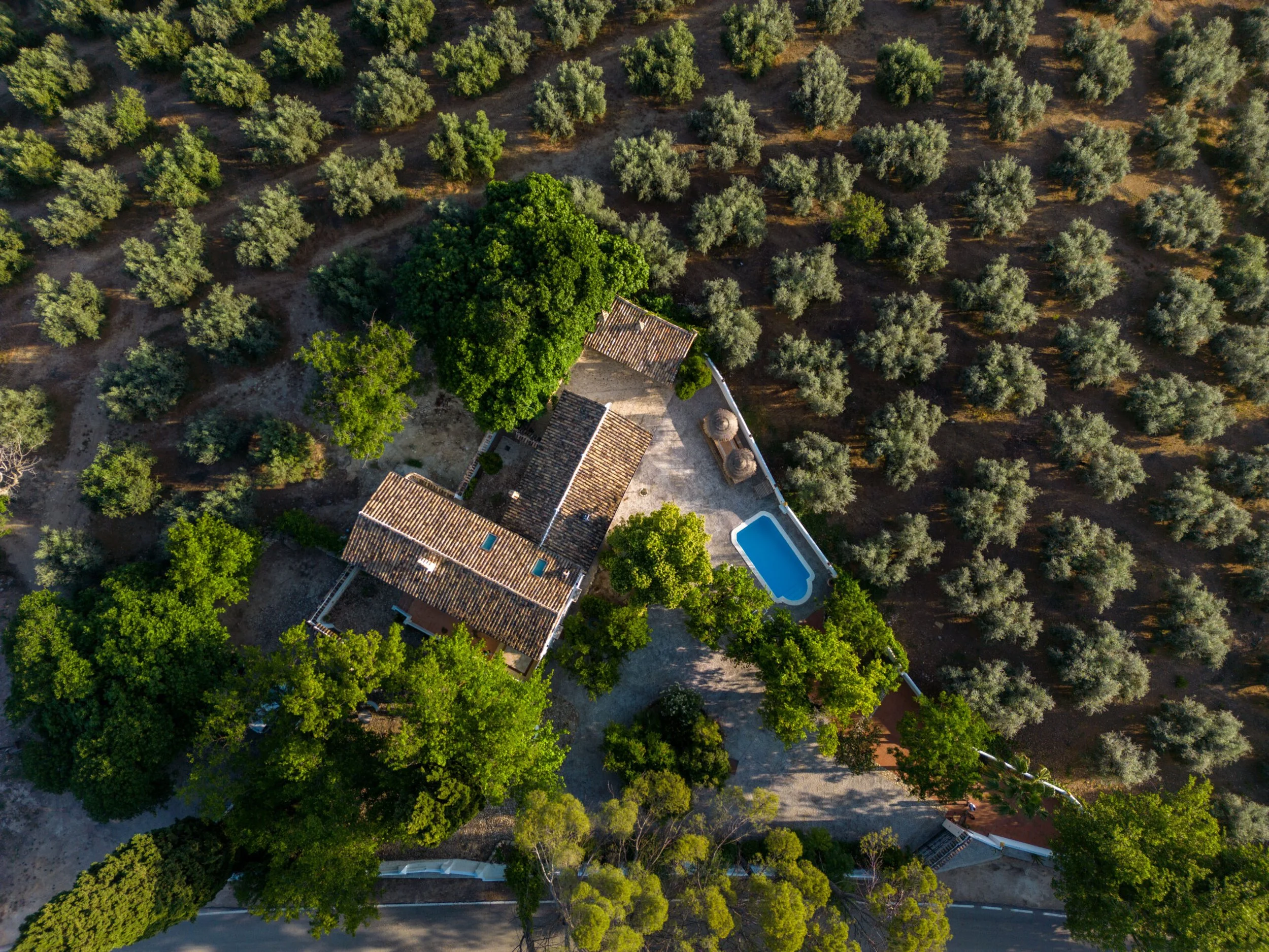 DJI_0302-scaled.jpg