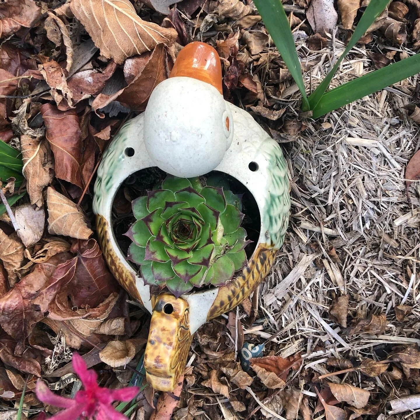 867D97F2-66FA-4F97-A587-EEE0CF2352DE (1).jpeg