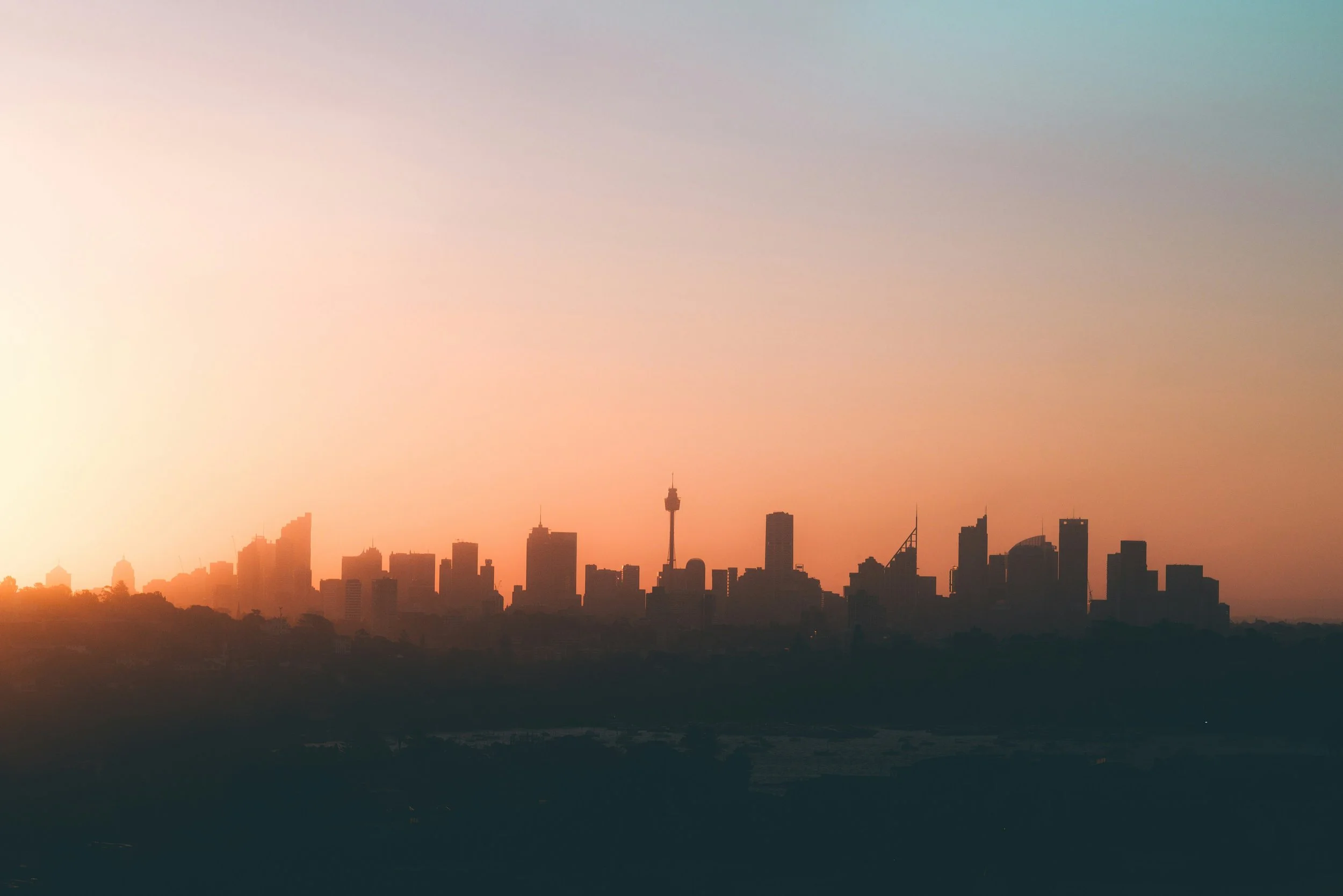 Dover Heights Suburb Profile – February 2026 
