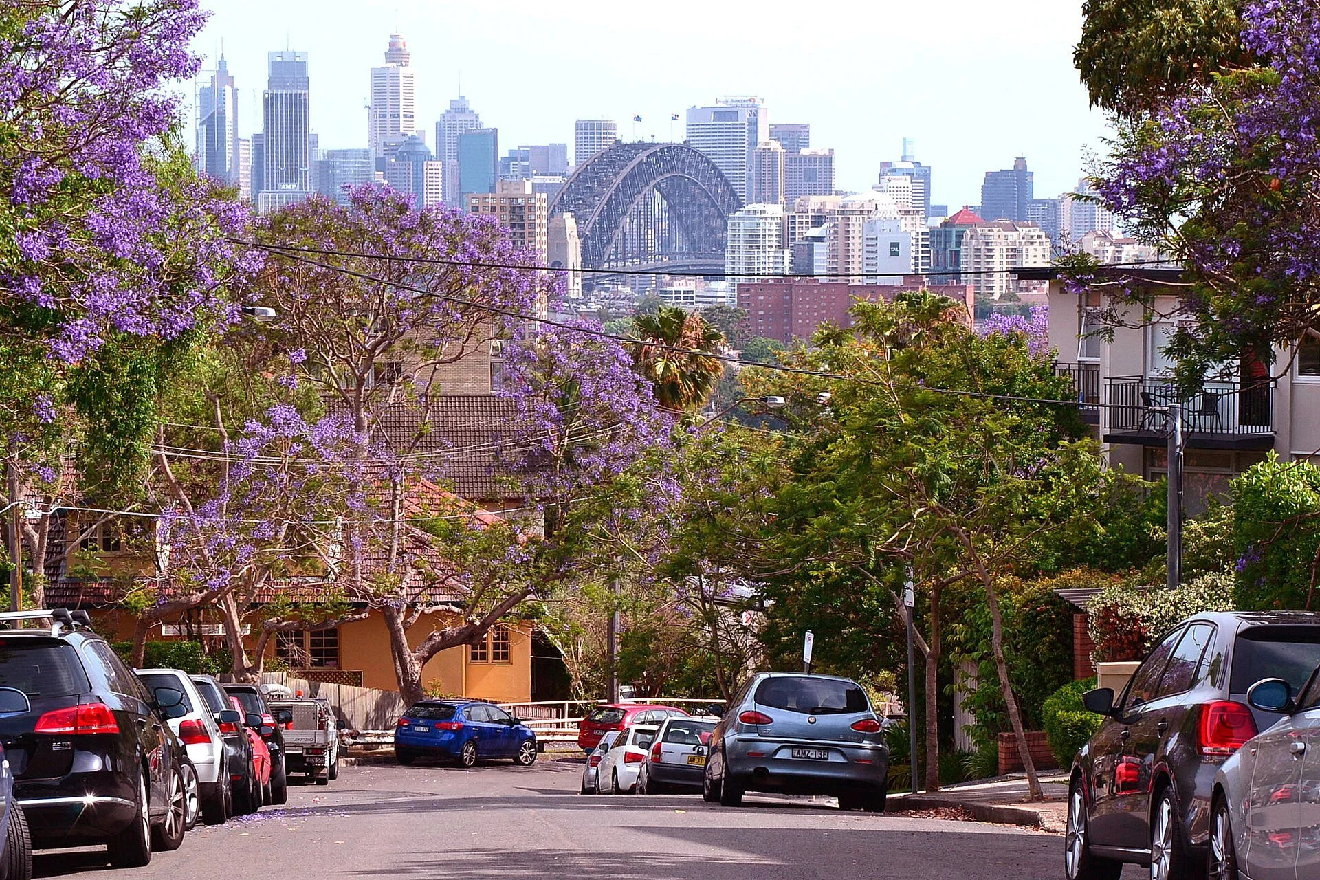 Neutral Bay Suburb Profile – February 2026 