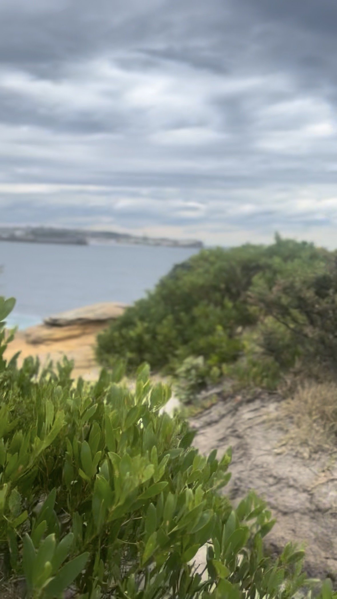 One of the best views on the Bondi Coastal Walk isn’t one you’ve seen