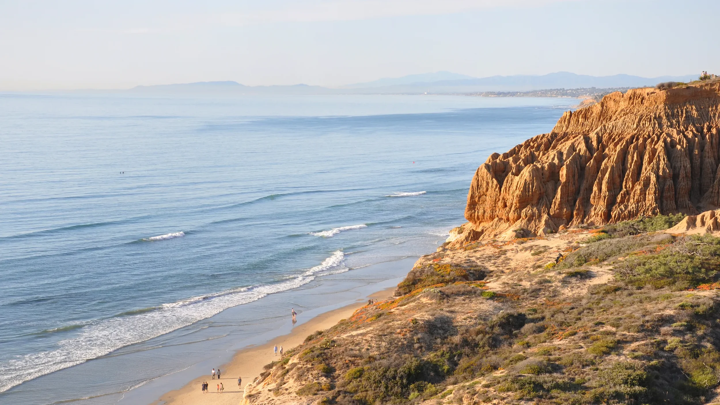 Torrey-Pines_2018_Torrey-Pines-Beach-looking-North--Courtesy-Lisa-Field-SanDiego.jpg.webp