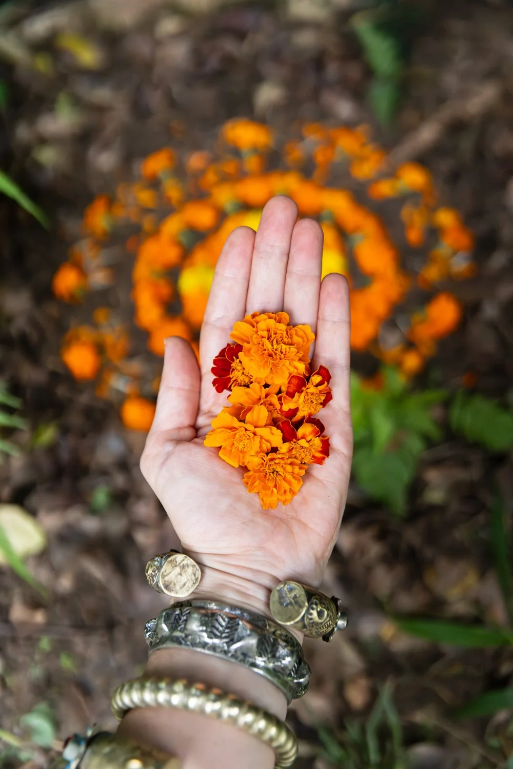 marigold test-12.jpg