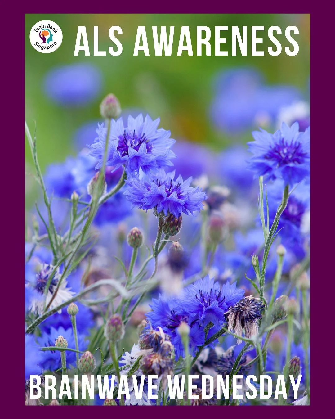 May is #ALSawareness Month, dedicated to raising understanding of Amyotrophic Lateral Sclerosis. This BrainWave Wednesday, we&rsquo;re spotlighting how assistive technology empowers people with ALS to live with dignity and autonomy.

Although ALS was