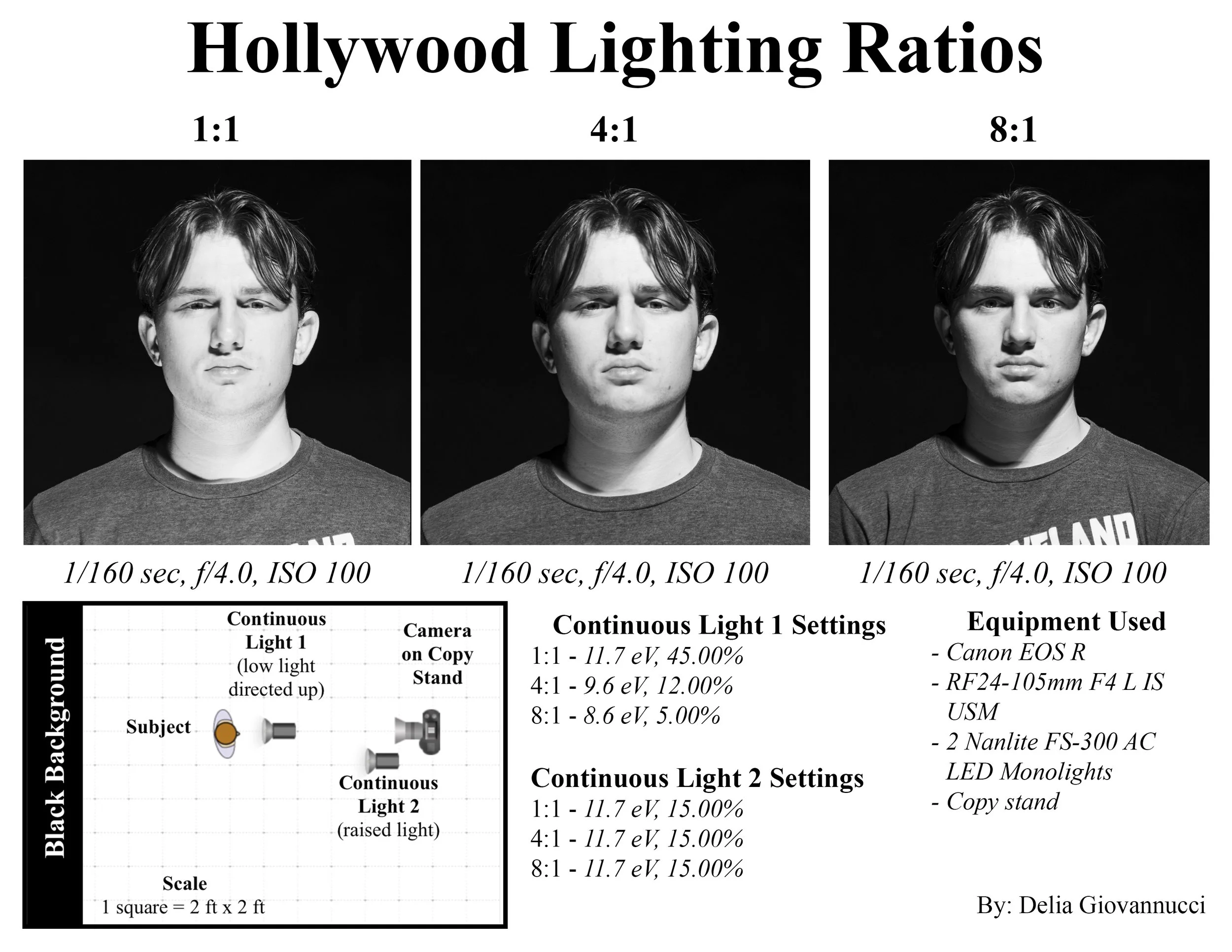 hollywood_composite.jpg