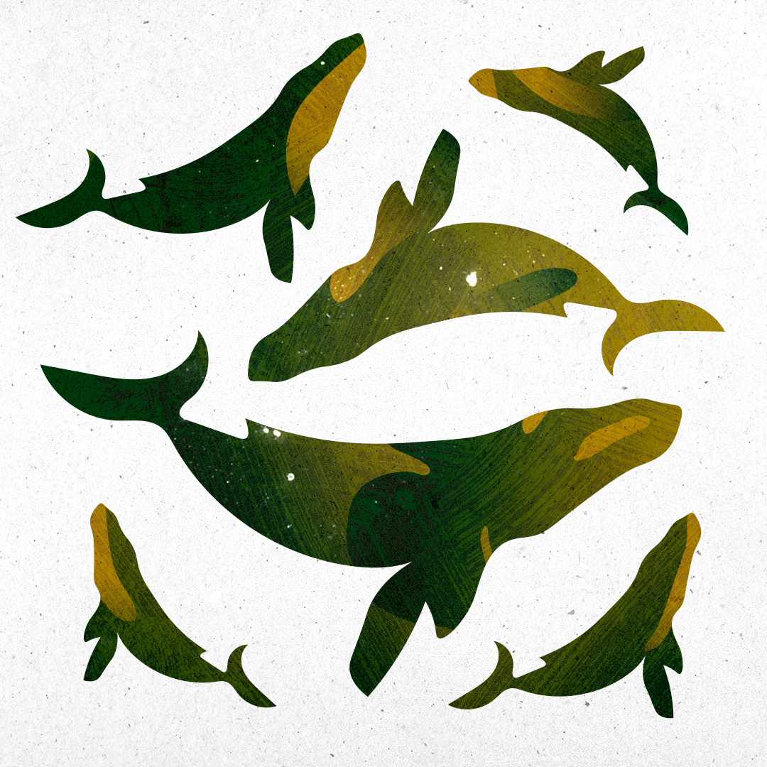 Whales4.png