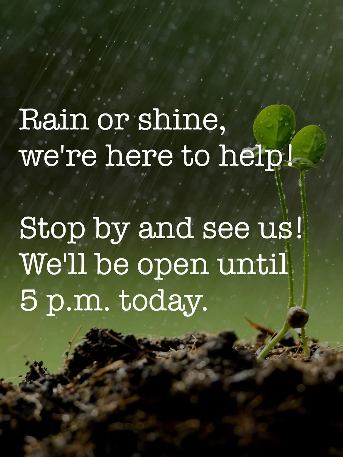 Stop by for parts, sales or drop off for service on this rainy day so you're ready when the sun returns!

#kubotadealer #kubotausa