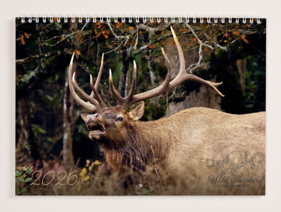 2026 Wild Shepherd Photography Wildlife Calendar (17'' x  11")