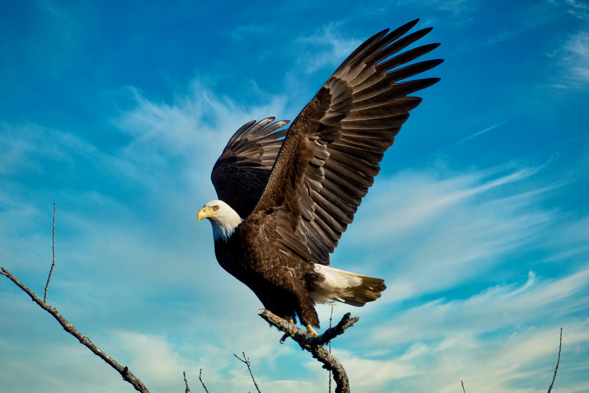 Calendar 2026 - 1.jpeg