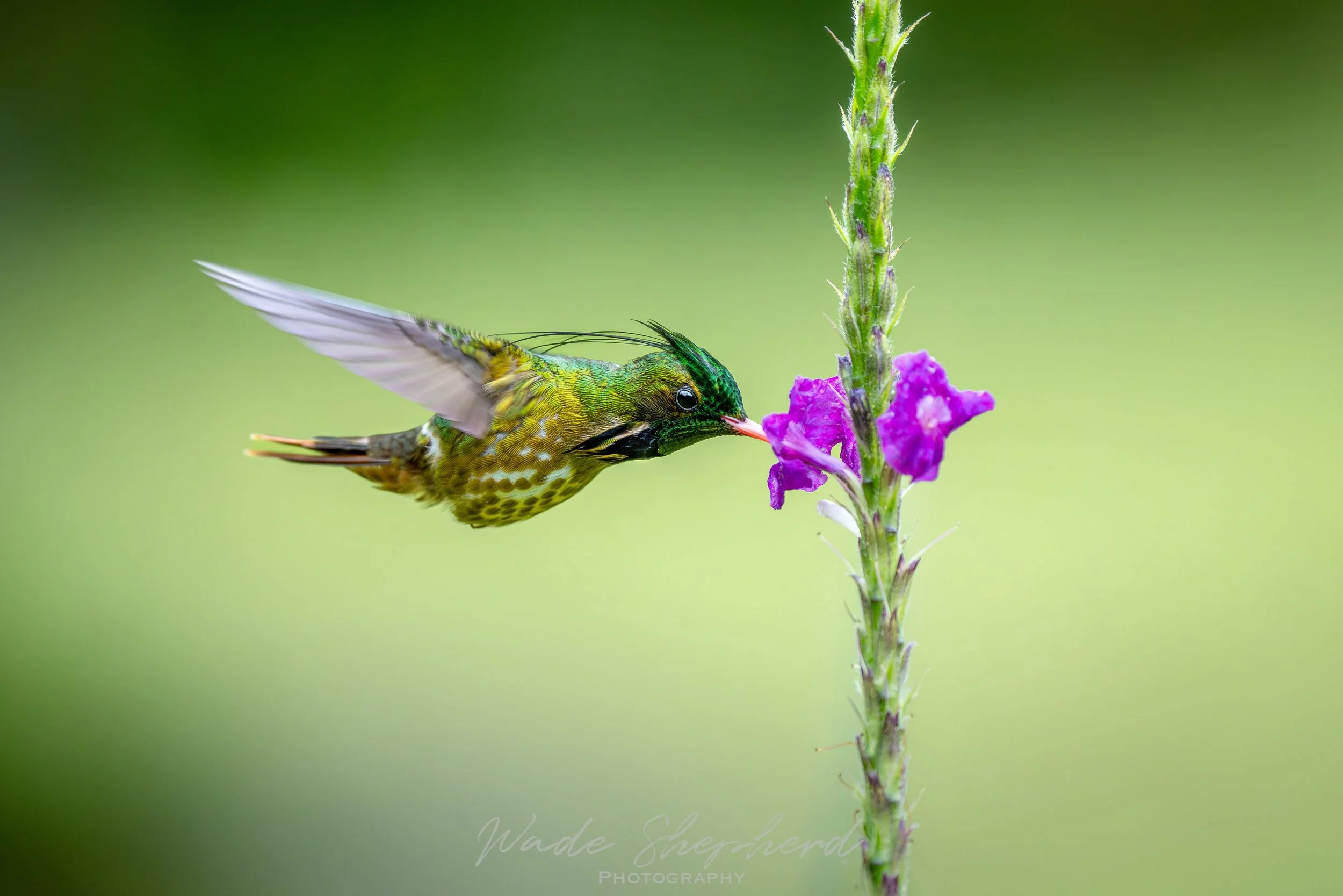 Calendar 2026 - 8.jpeg