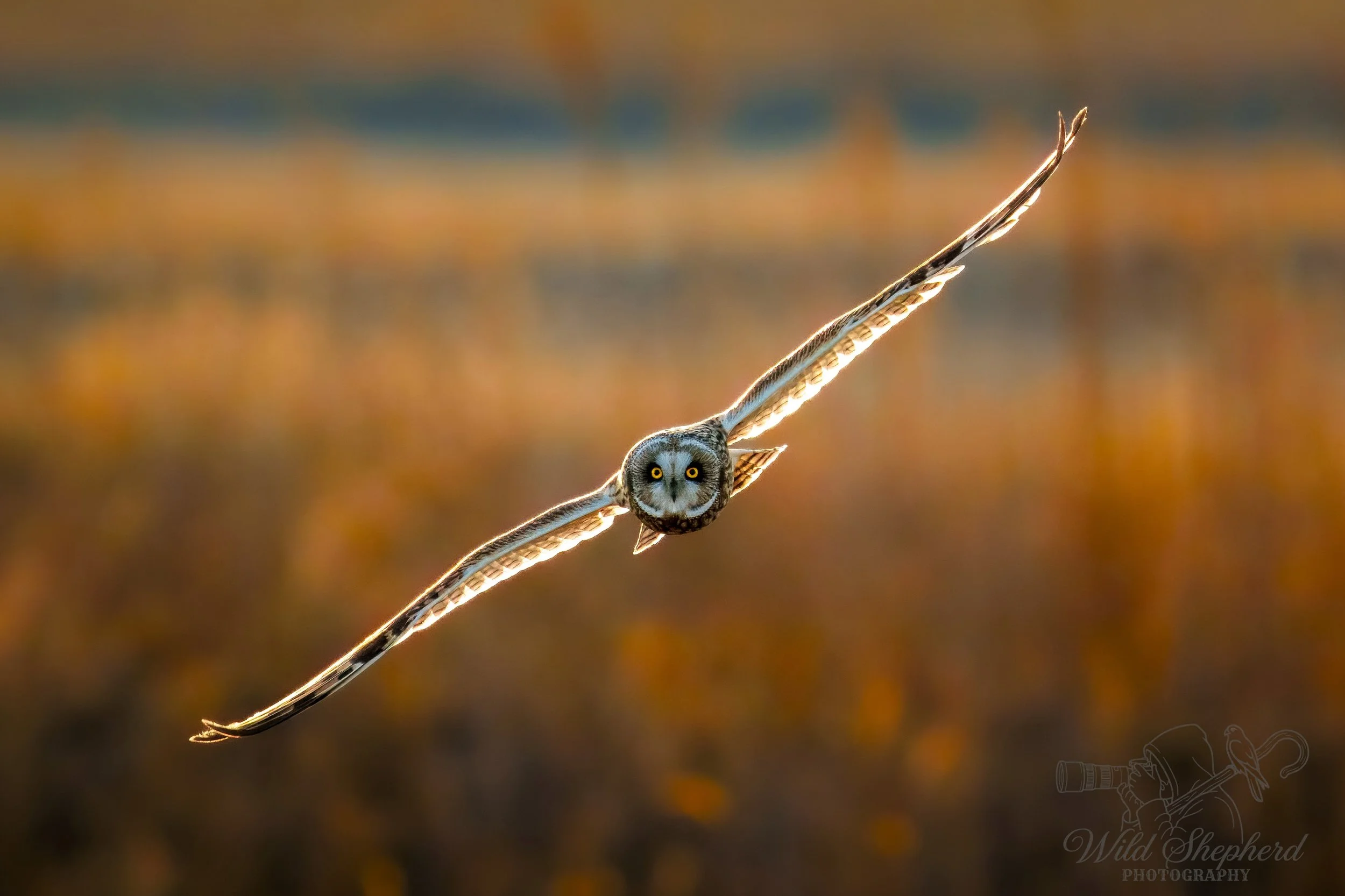 Calendar 2026 - 2.jpeg