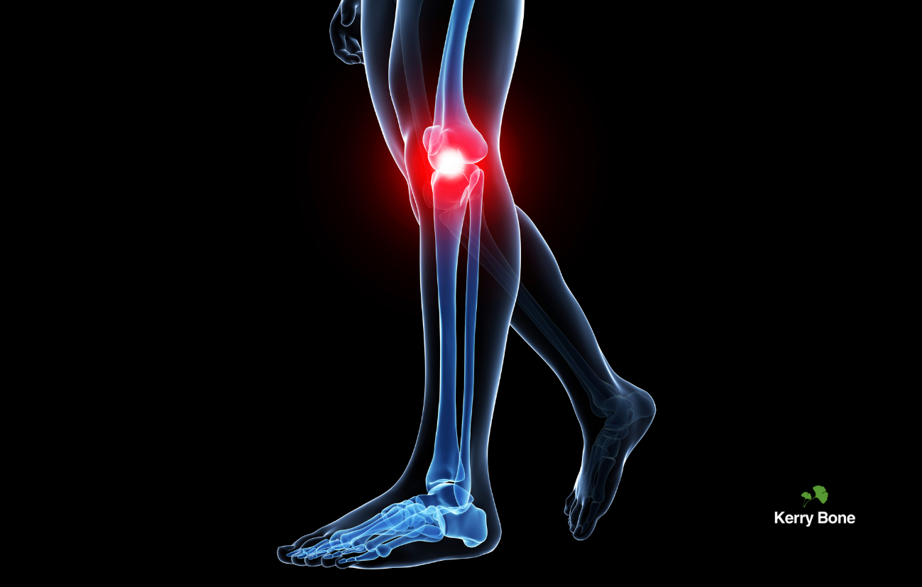The Gut–Joint Connection: Can Prebiotic Fibre Ease Osteoarthritis Pain?