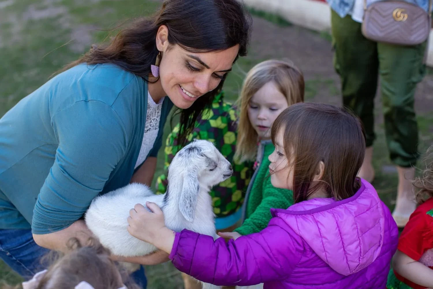 baby-goats-canterbury-creek-farm-preschool.jpg