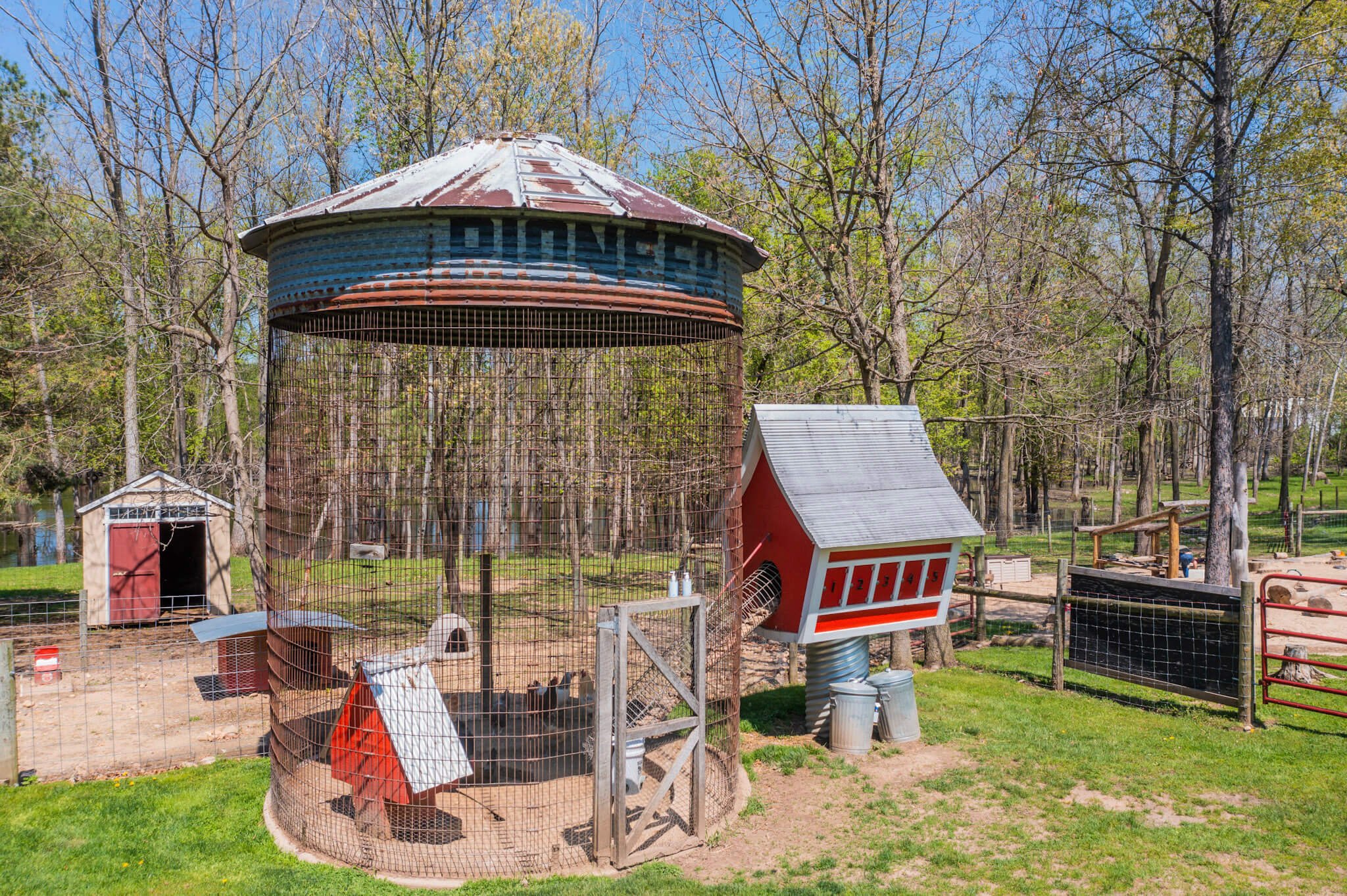 chicken-coop-preschool-ada-mi.jpg