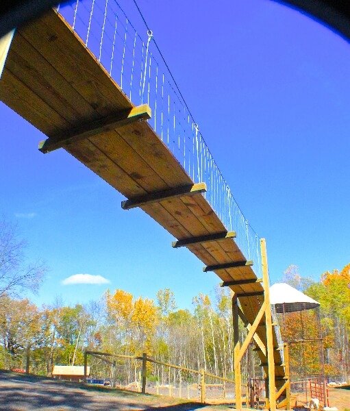 goat-bridge-preschool-ada-mi.jpg