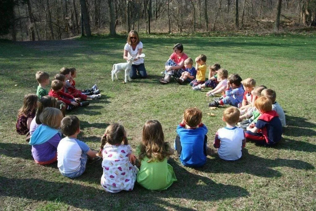 preschool-lamb-canterbury-creek-farm-preschool.jpg