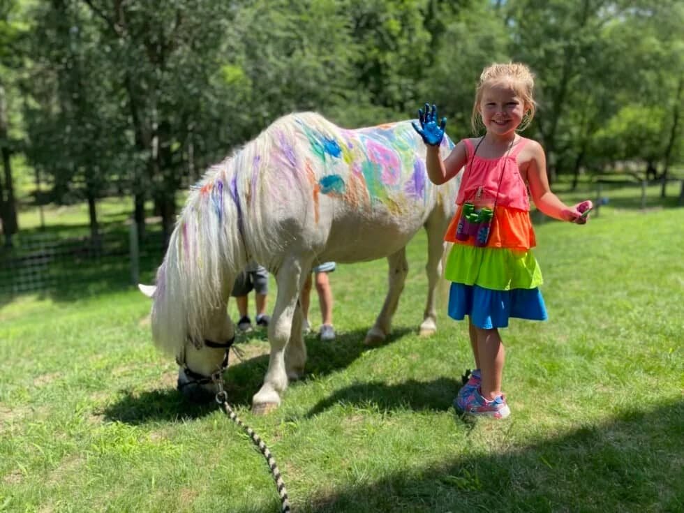 pony-painting-summer-camp-canterbury-creek-farm-school.jpg