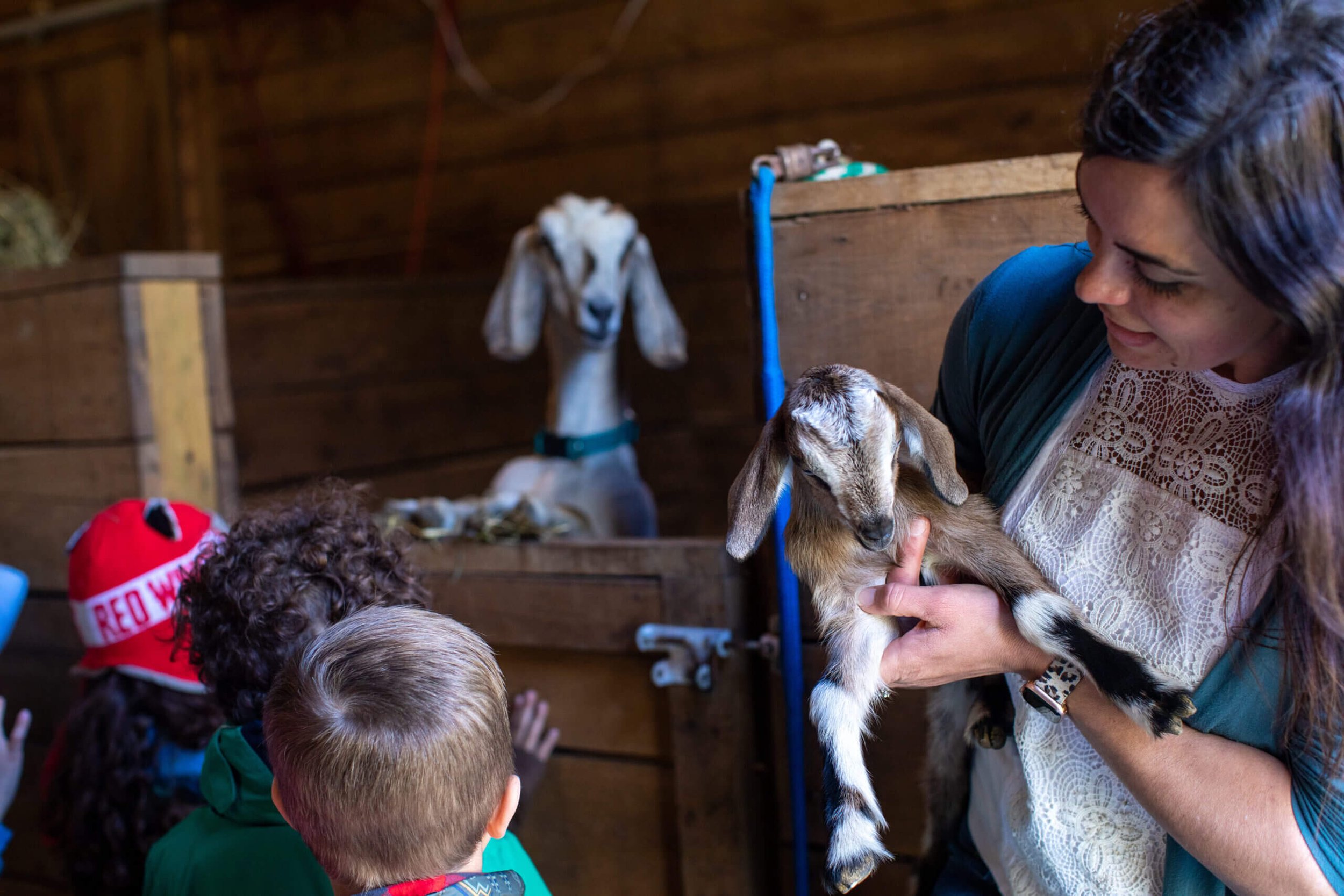 preschool-baby-goats-children-ada-mi.jpg