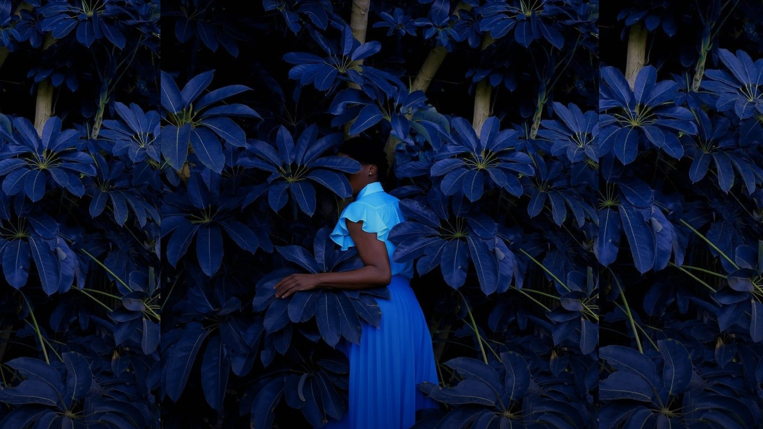 sfu NEW brand guide 26 (4).png