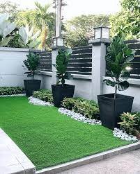 plants.jpeg