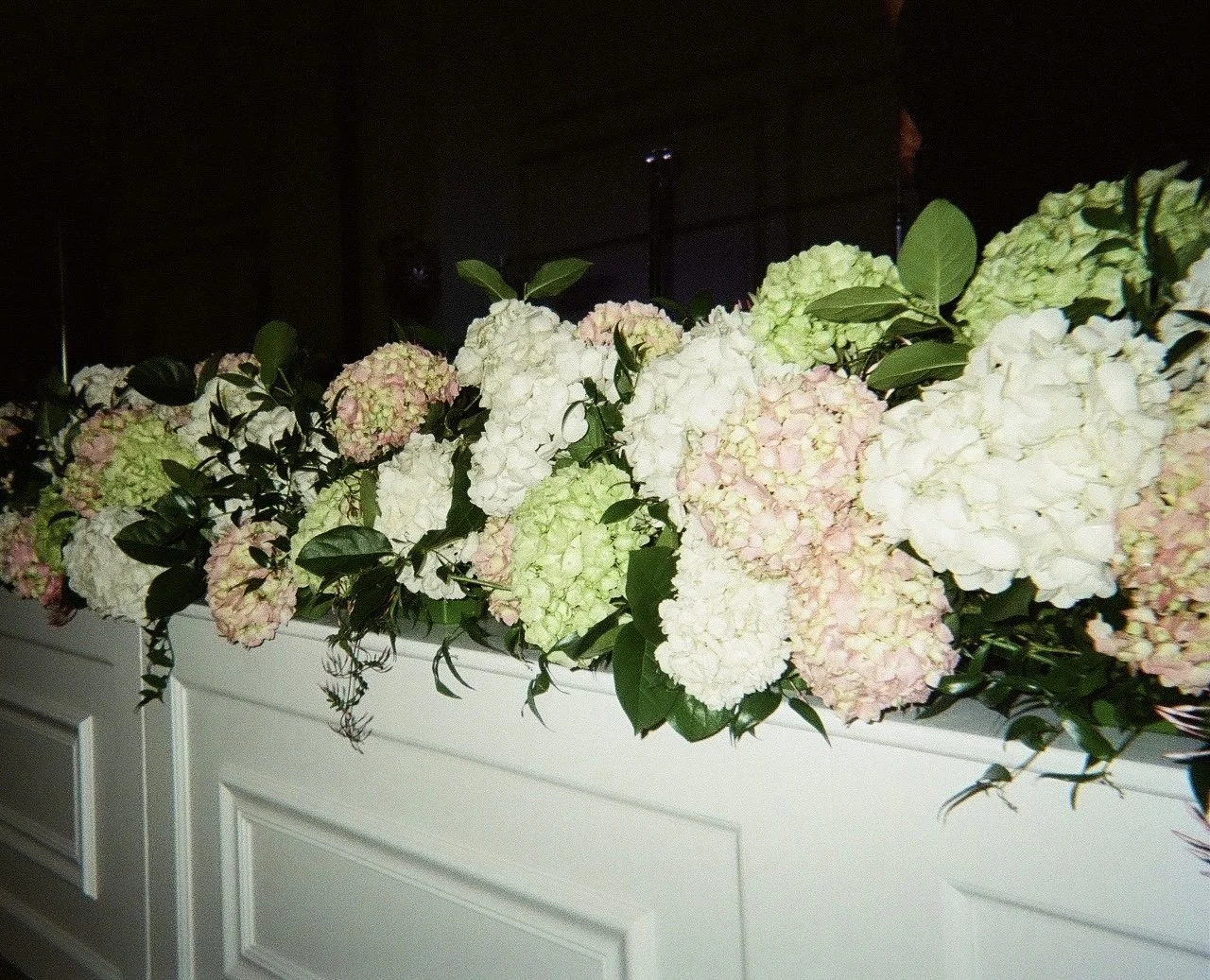 IMG_4398.jpeg