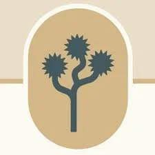 Stylized cactus with three spiky branches on a beige oval background