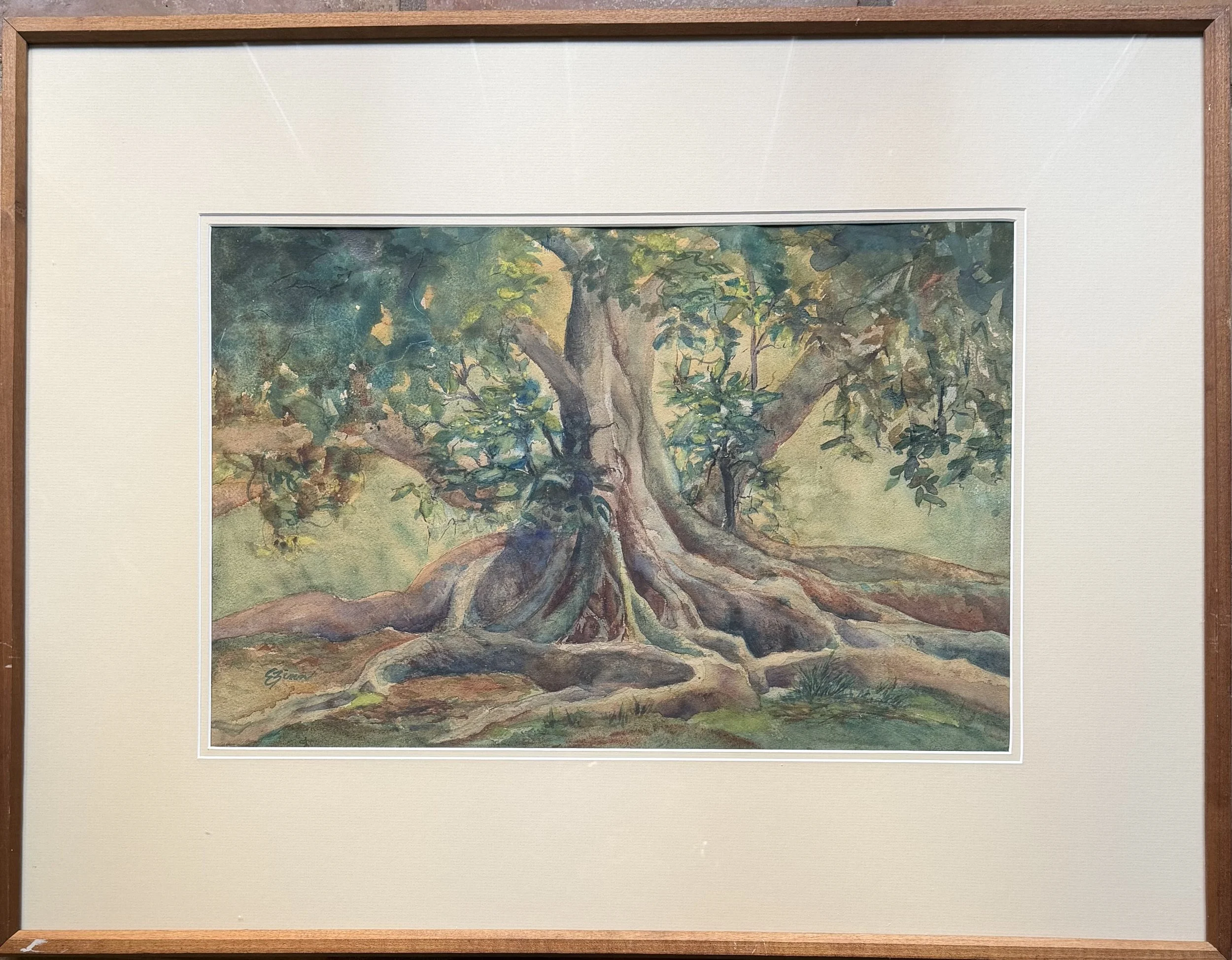 Banyan Tree by Elizabeth Zinn