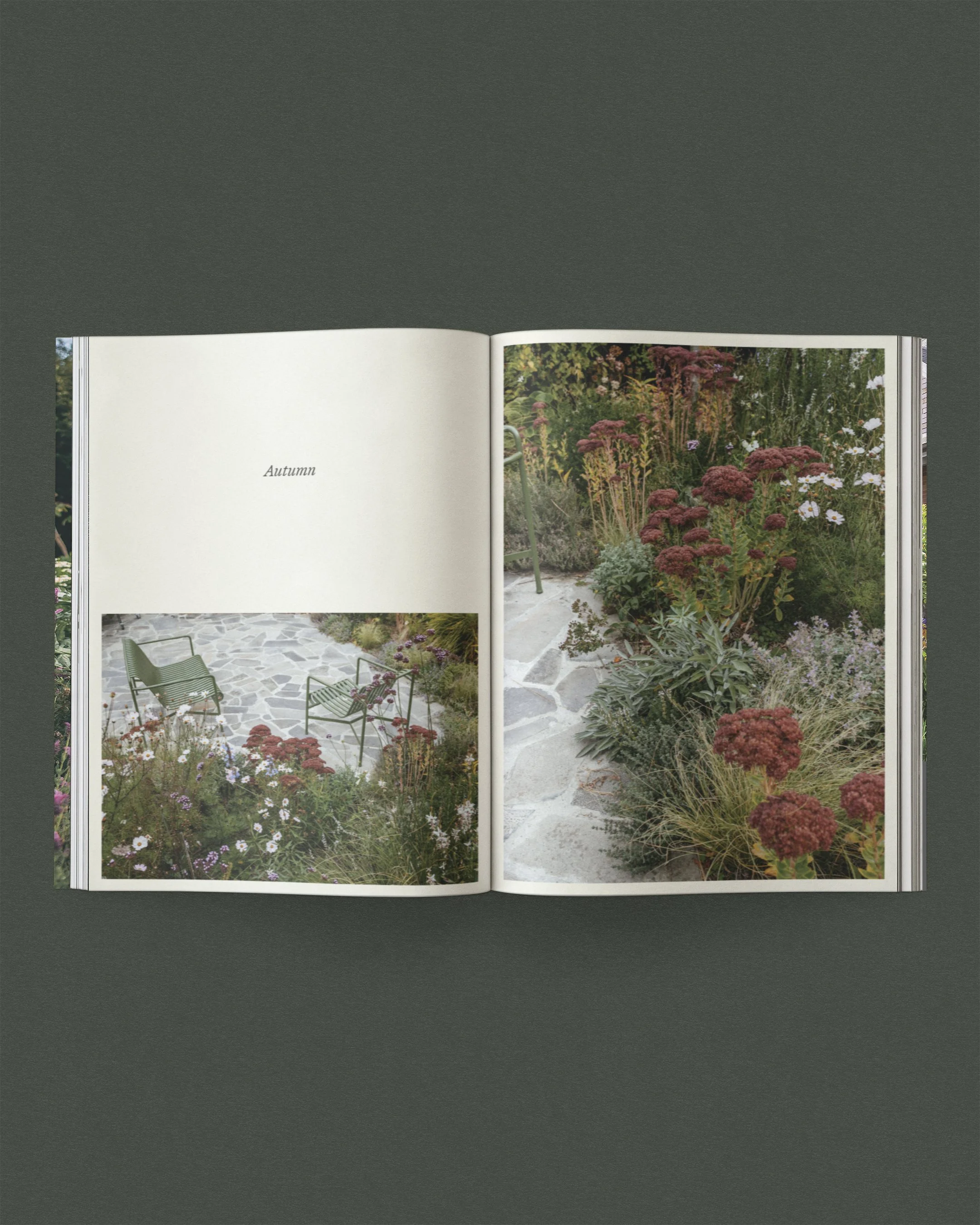 164-165_ThroughtheSeasons.jpg