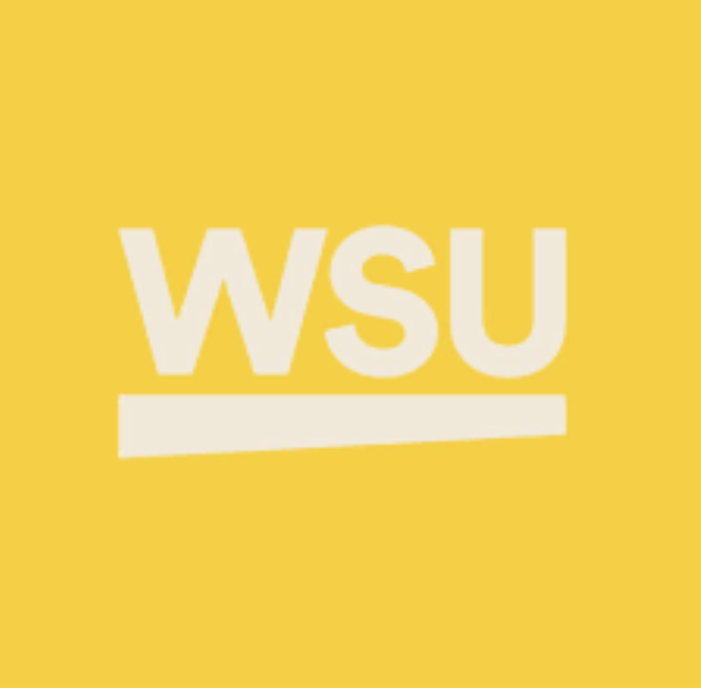 Screenshot 2025-05-16 at 11.00.13 pm.png