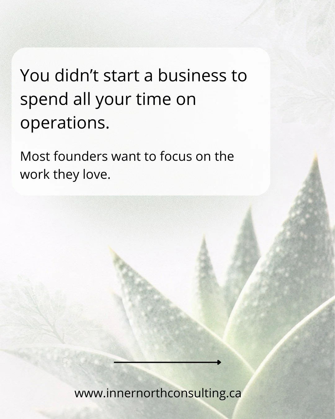 Most founders don&rsquo;t struggle with their craft. 

Everything around it, is what can get overwhelming. 

We help you build the systems, structure, and future-oriented foundation. So you can focus on what you actually love doing.

@innernorth_cons