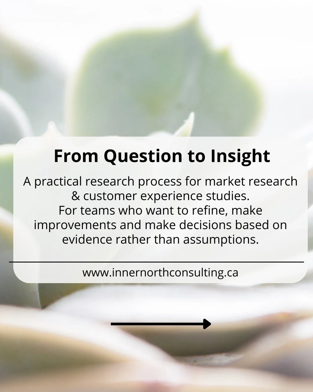 Here at Inner North we believe that understanding people, builds better products and services.

Behavioral science helps us understand why customers decide, hesitate, convert, or disengage. It reveals the biases, friction points, and mental shortcuts