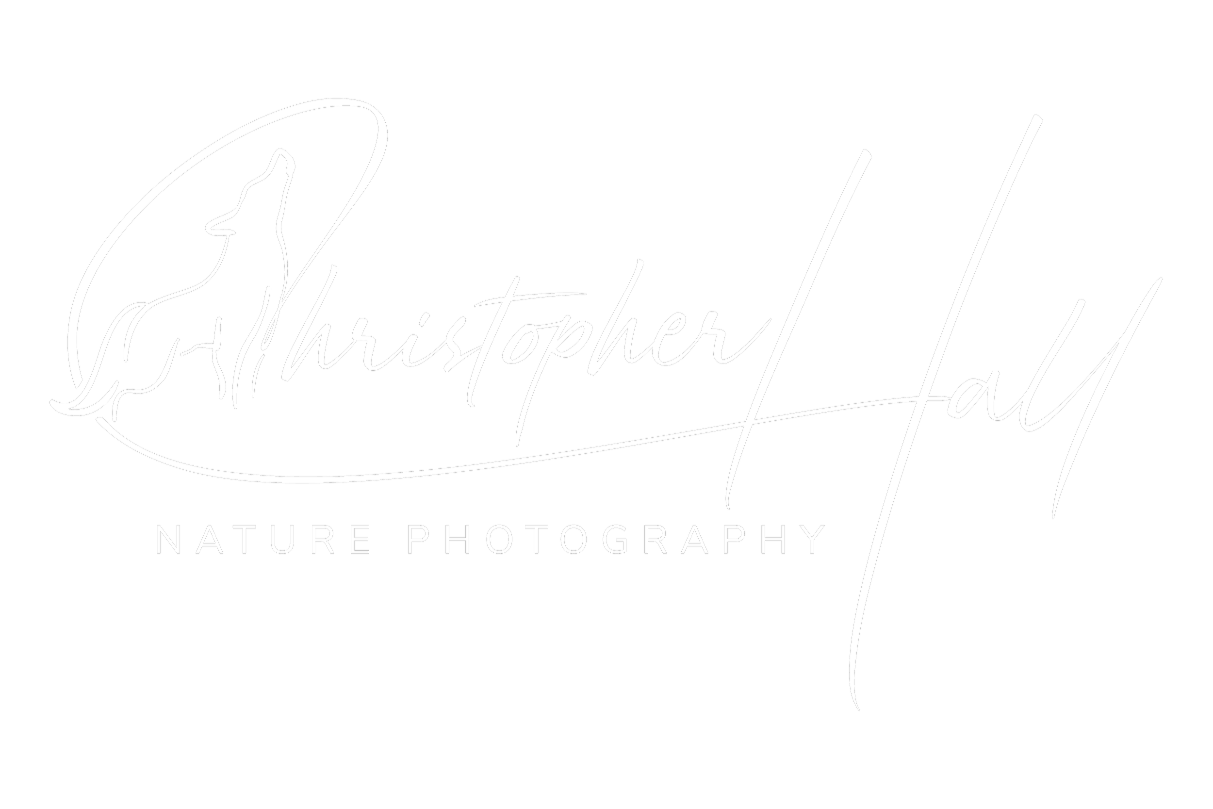 Black background with white cursive text reading 'Christopher Hall' and smaller uppercase text 'NATURE PHOTOGRAPHY', with a line drawing of a wolf howling.
