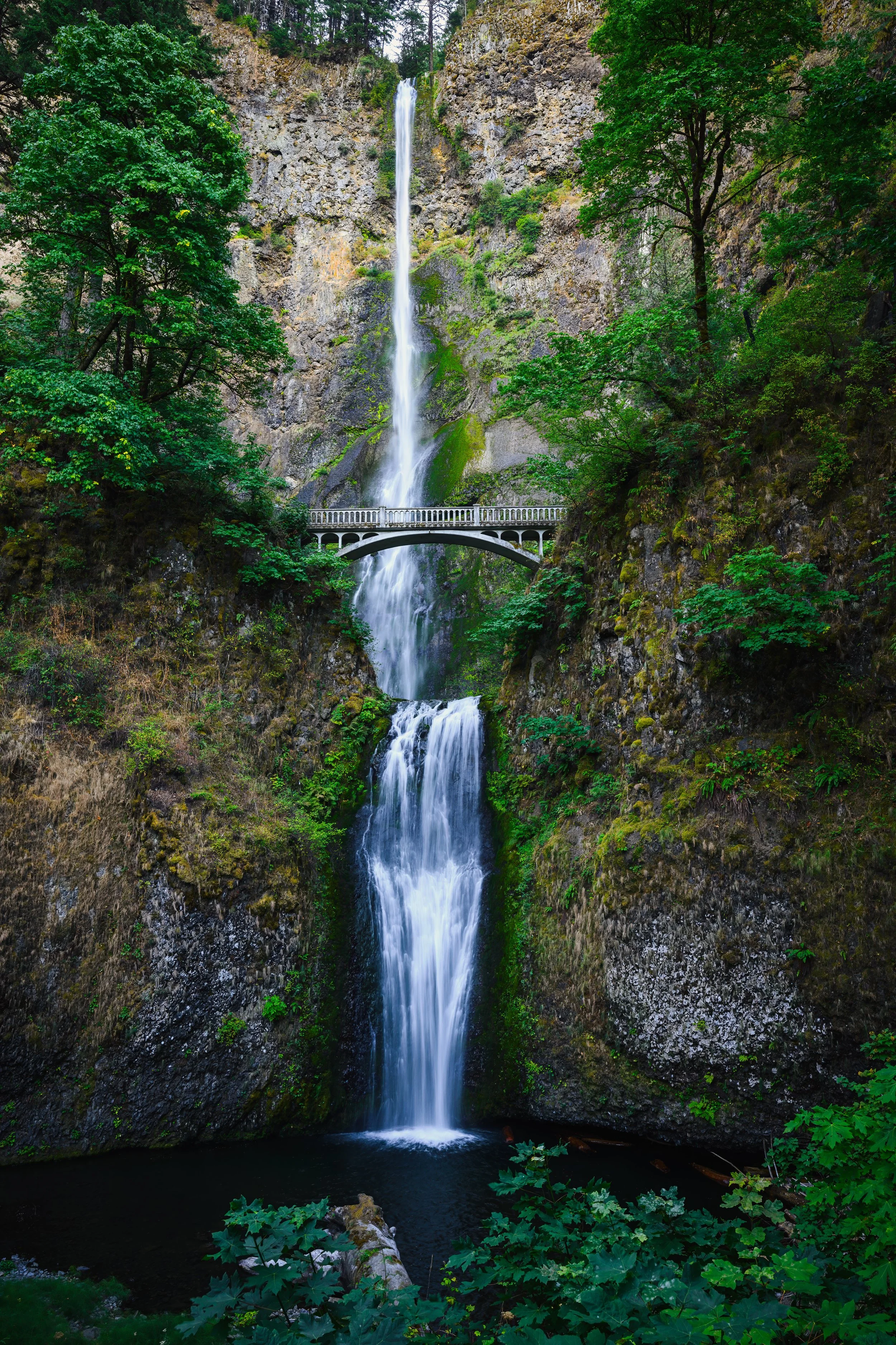 Multnomah Falls, Oregan. A multi-tiered waterfall cascading down a rocky cliff surrounded by lush greenery, with a bridge spanning across the middle of the falls.