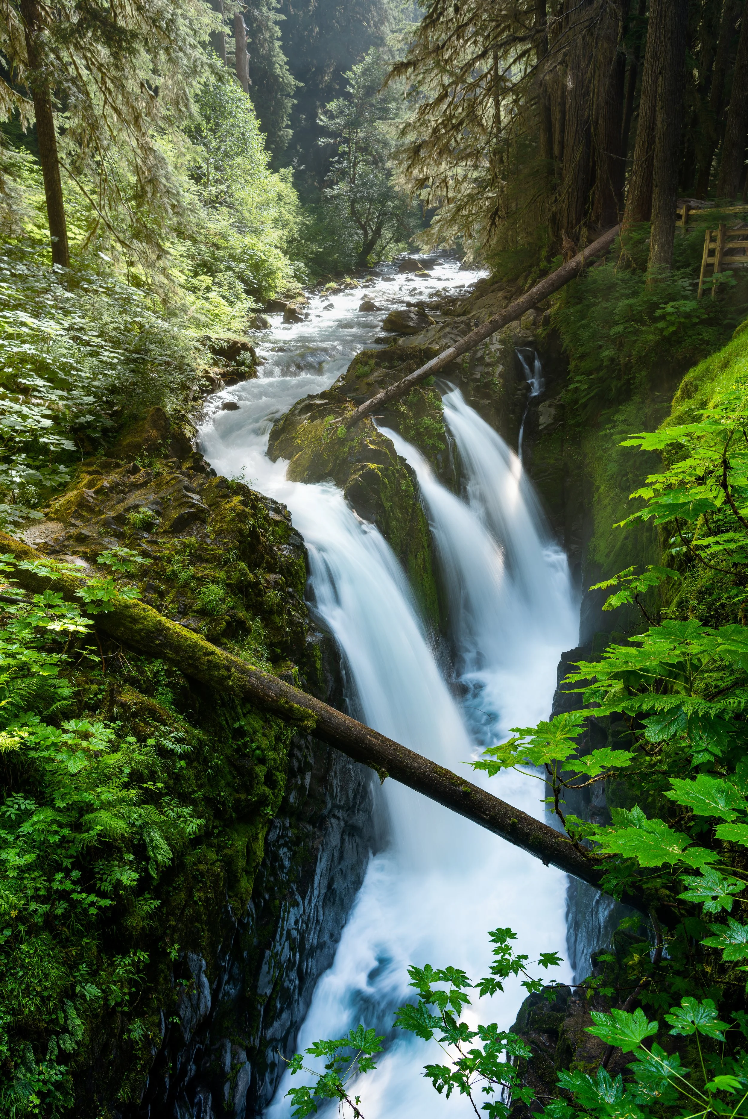 Sol Duc Falls, Olympic National Park. A waterfall flowing over rocks in a lush green forest with moss-covered logs and tall trees surrounding the scene. 
