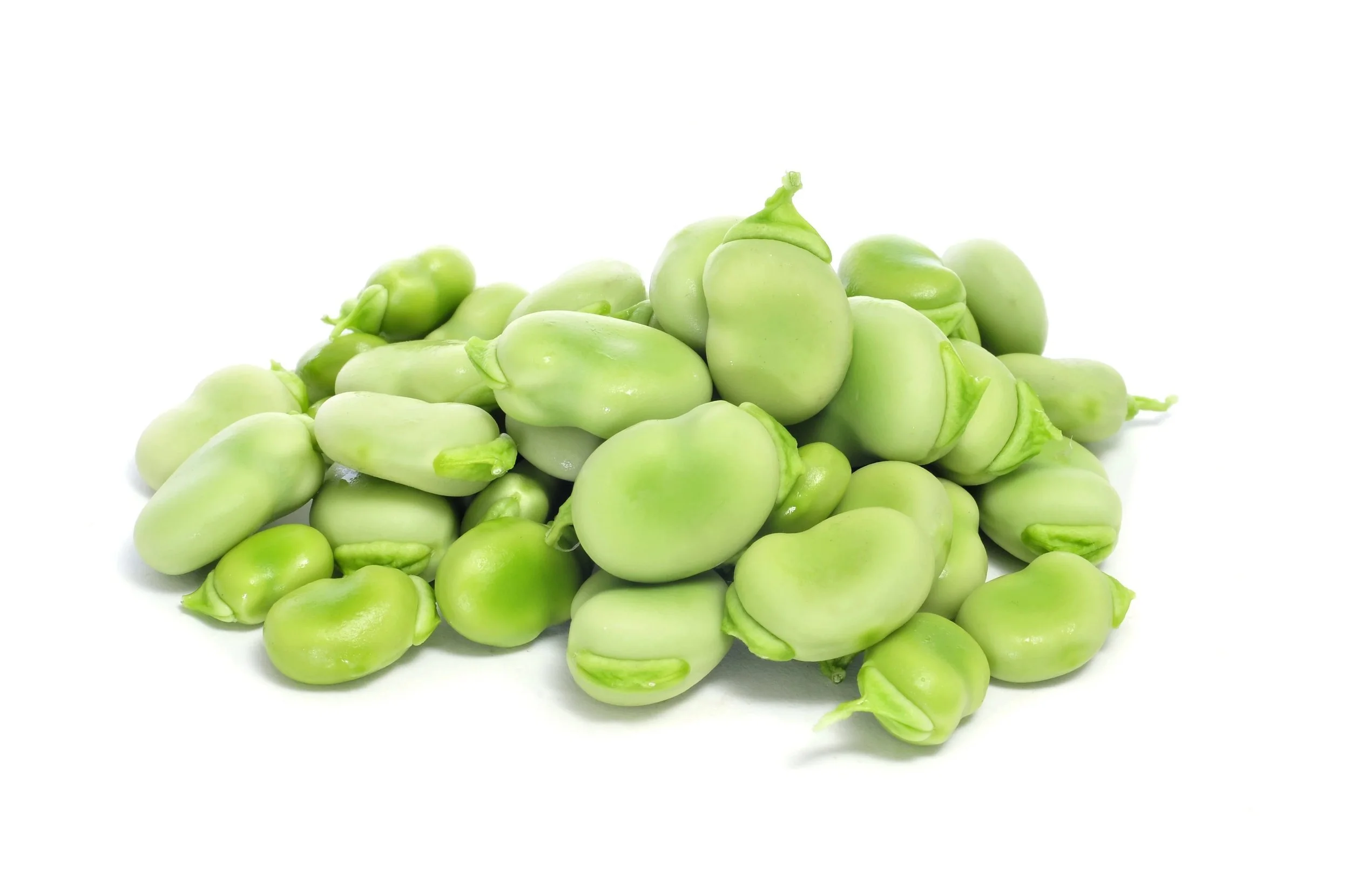 broadbeans.jpeg