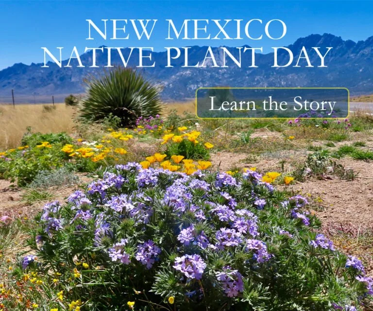 Wildflowers and desert plants with mountains in the background, promoting New Mexico Native Plant Day and a story to learn about local flora.