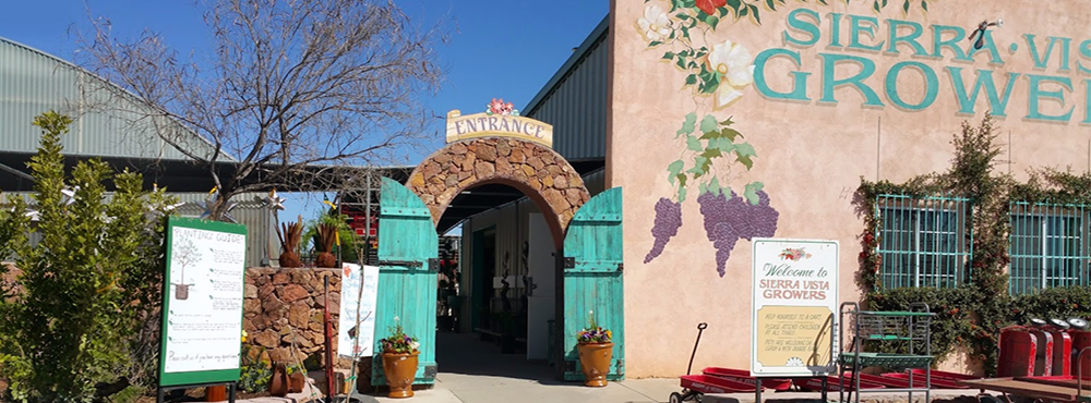 Entrance to Sierra Vista Growers with a stone archway and turquoise wooden gate, signage welcoming visitors, and a large grapevine mural on the building wall.