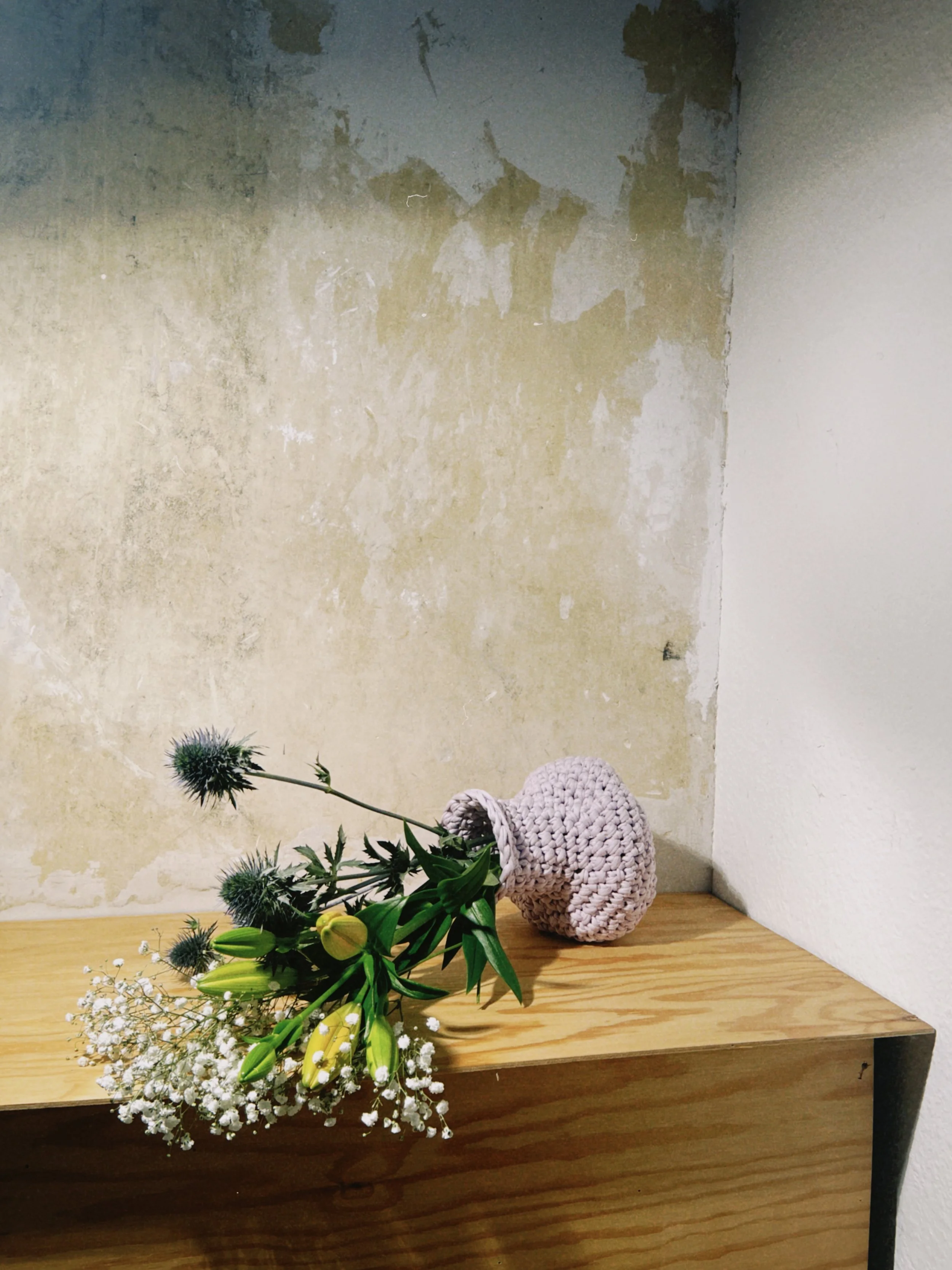 dclassic 2026-03-20 182845D59852C12D00.jpeg