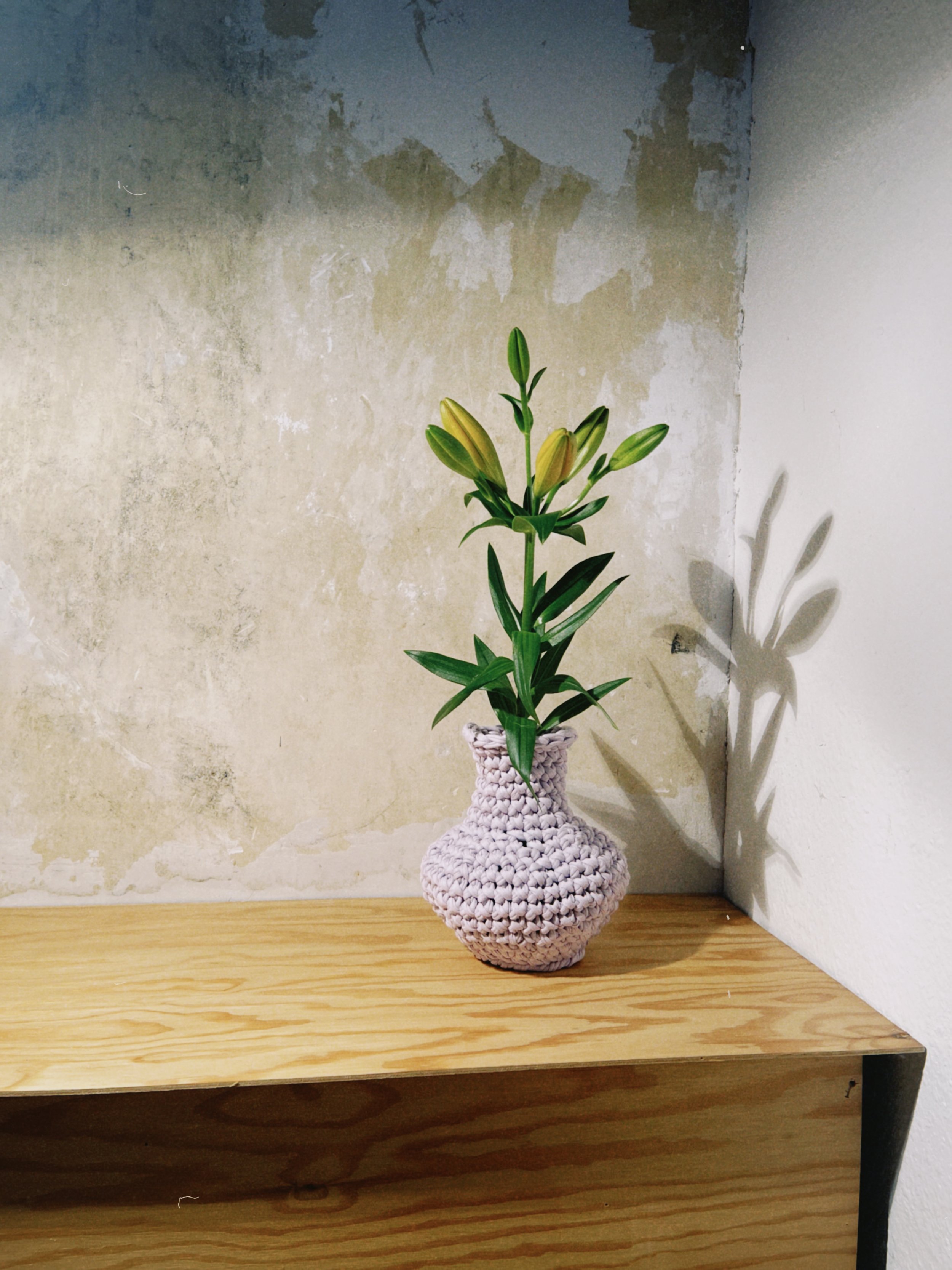 dclassic 2026-03-20 182126B7F88954B83F.jpeg