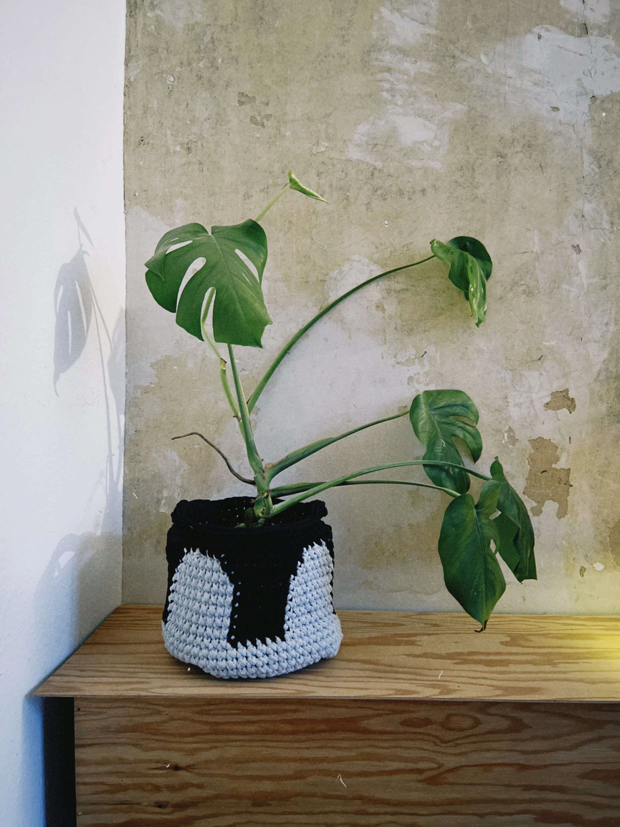 dclassic 2026-01-27 160222598435BD5CEE.jpeg