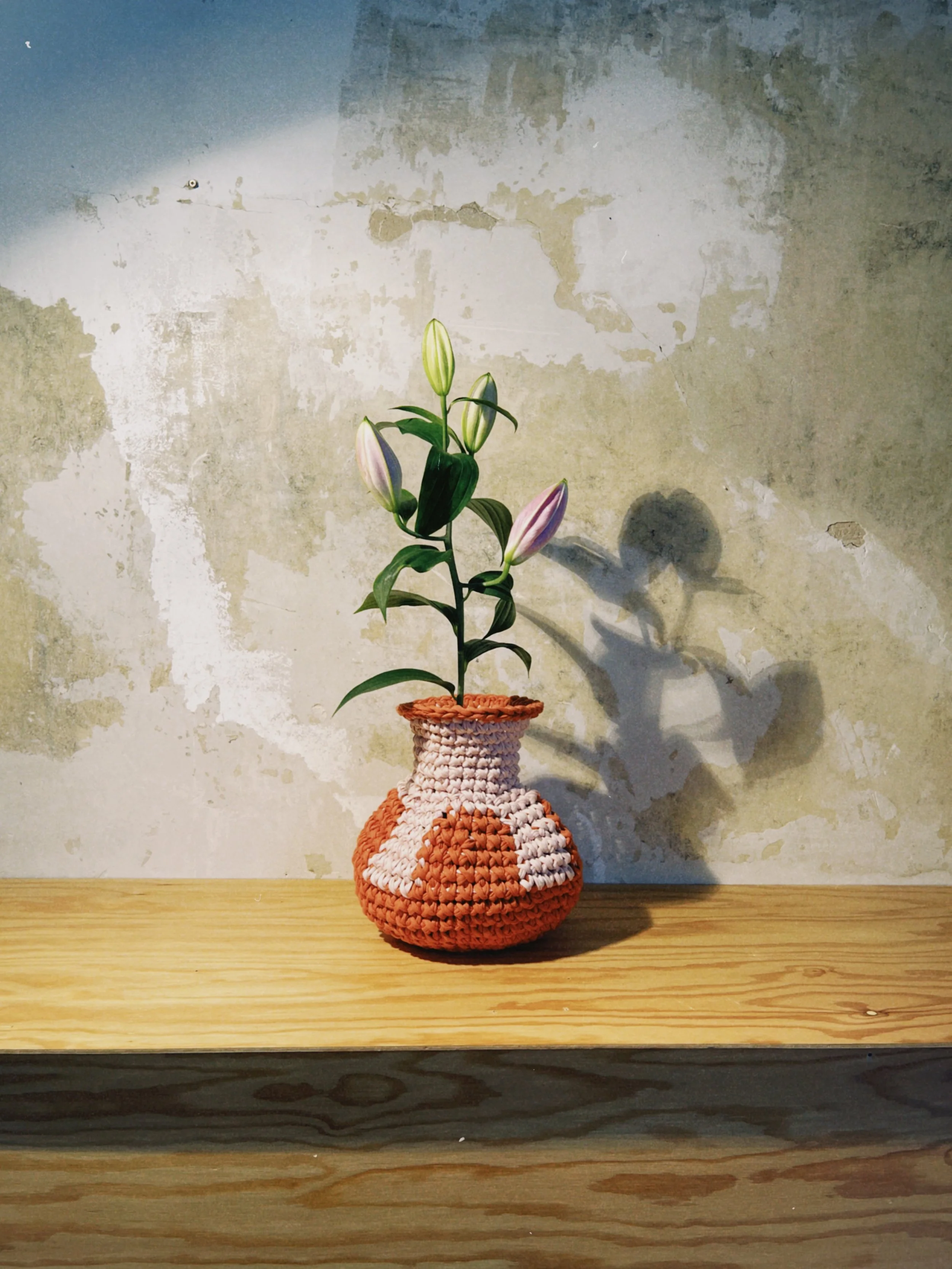 dclassic 2026-03-20 175658388C96F29631.jpeg