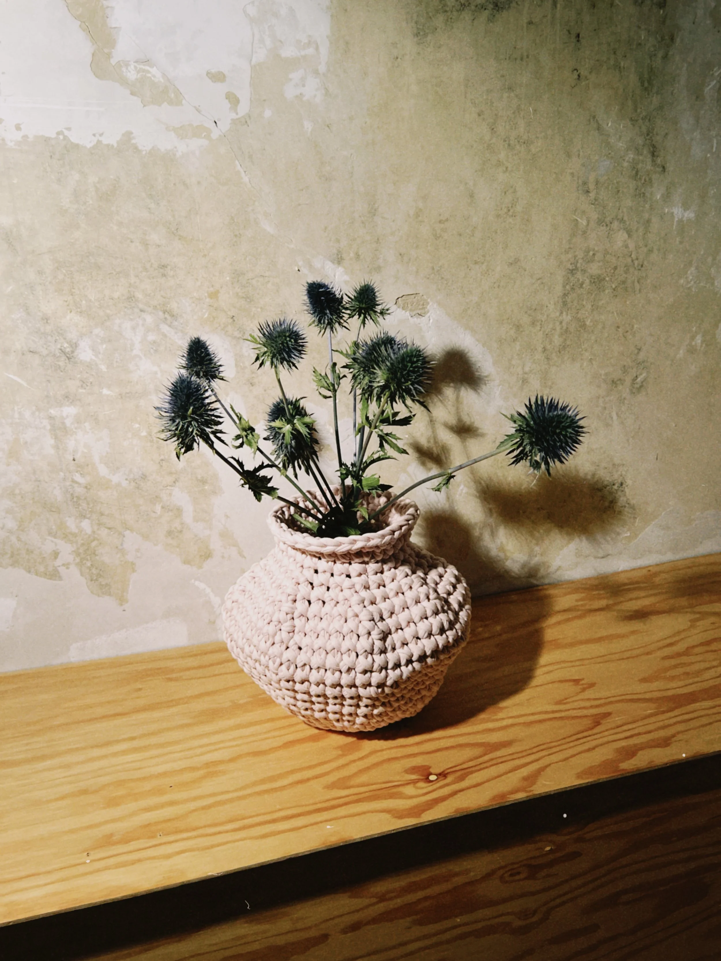 dclassic 2026-03-24 190705BEF7EE1985B4.jpeg