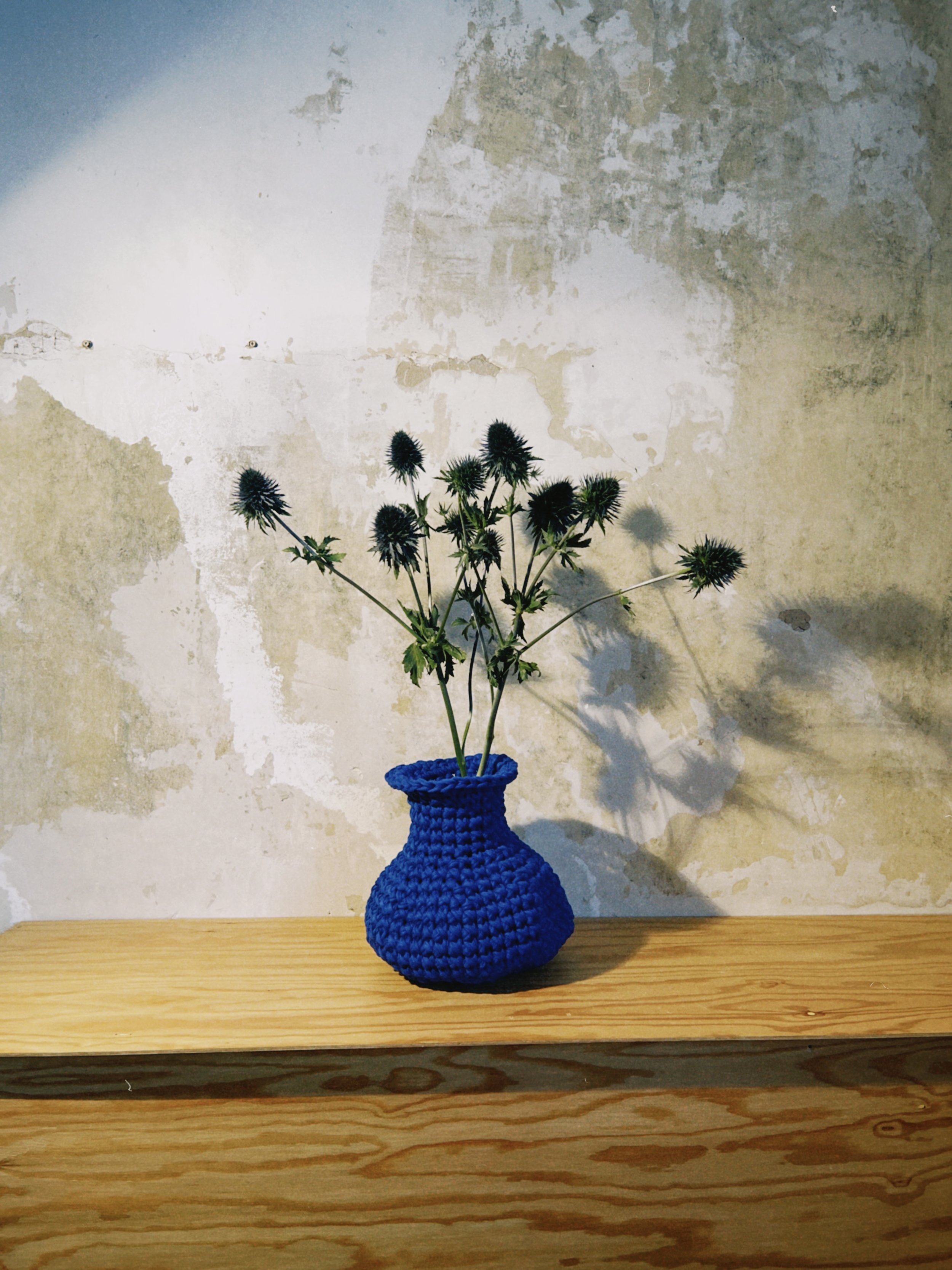 dclassic 2026-03-20 1713505D1A54A91C92.jpeg