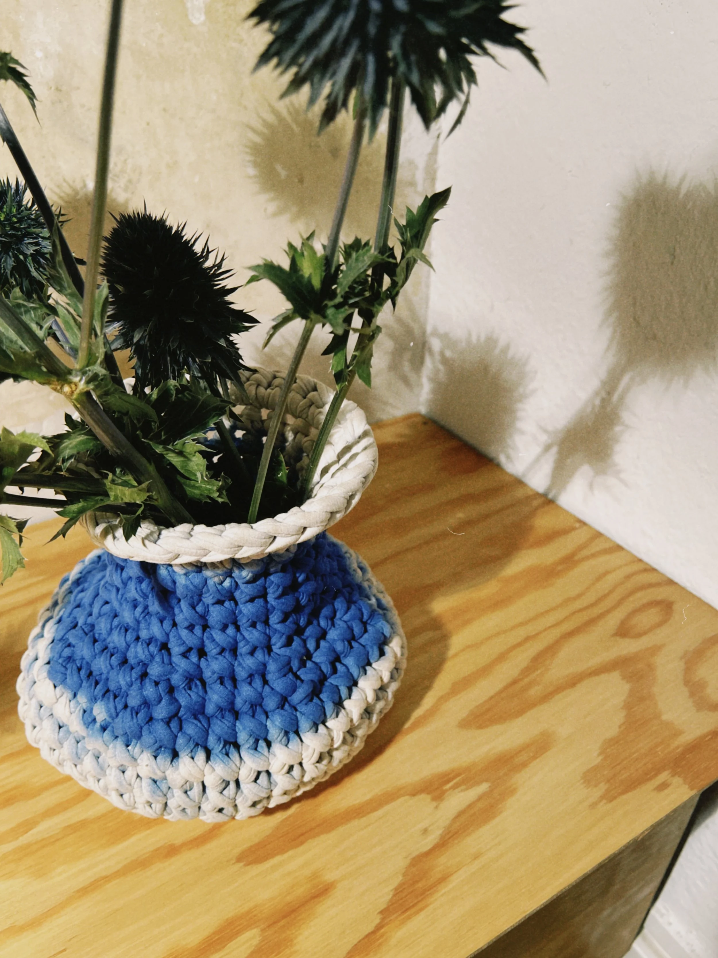 dclassic 2026-03-20 1839178AE8B77D6949.jpeg