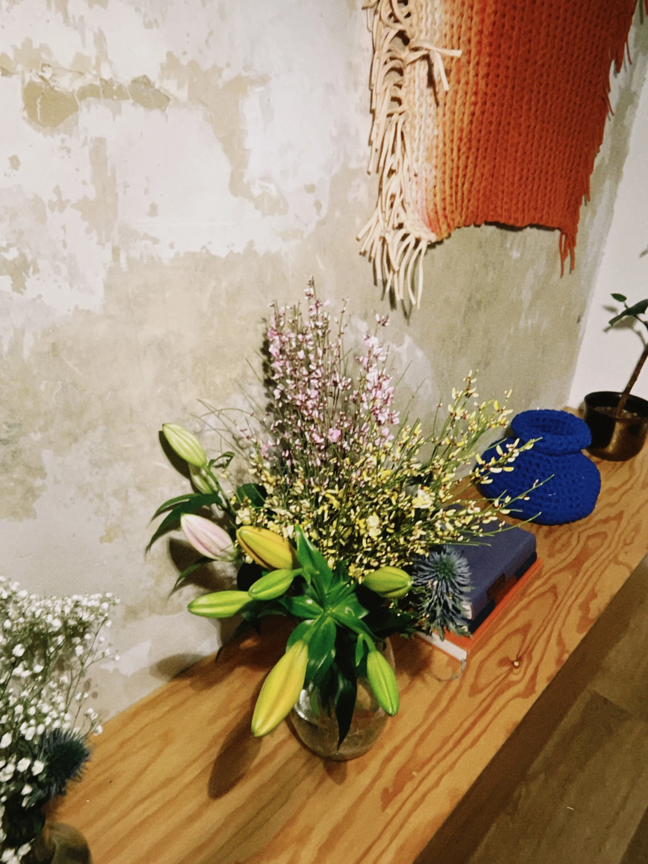 dclassic 2026-03-20 19542033536875AE64.jpeg