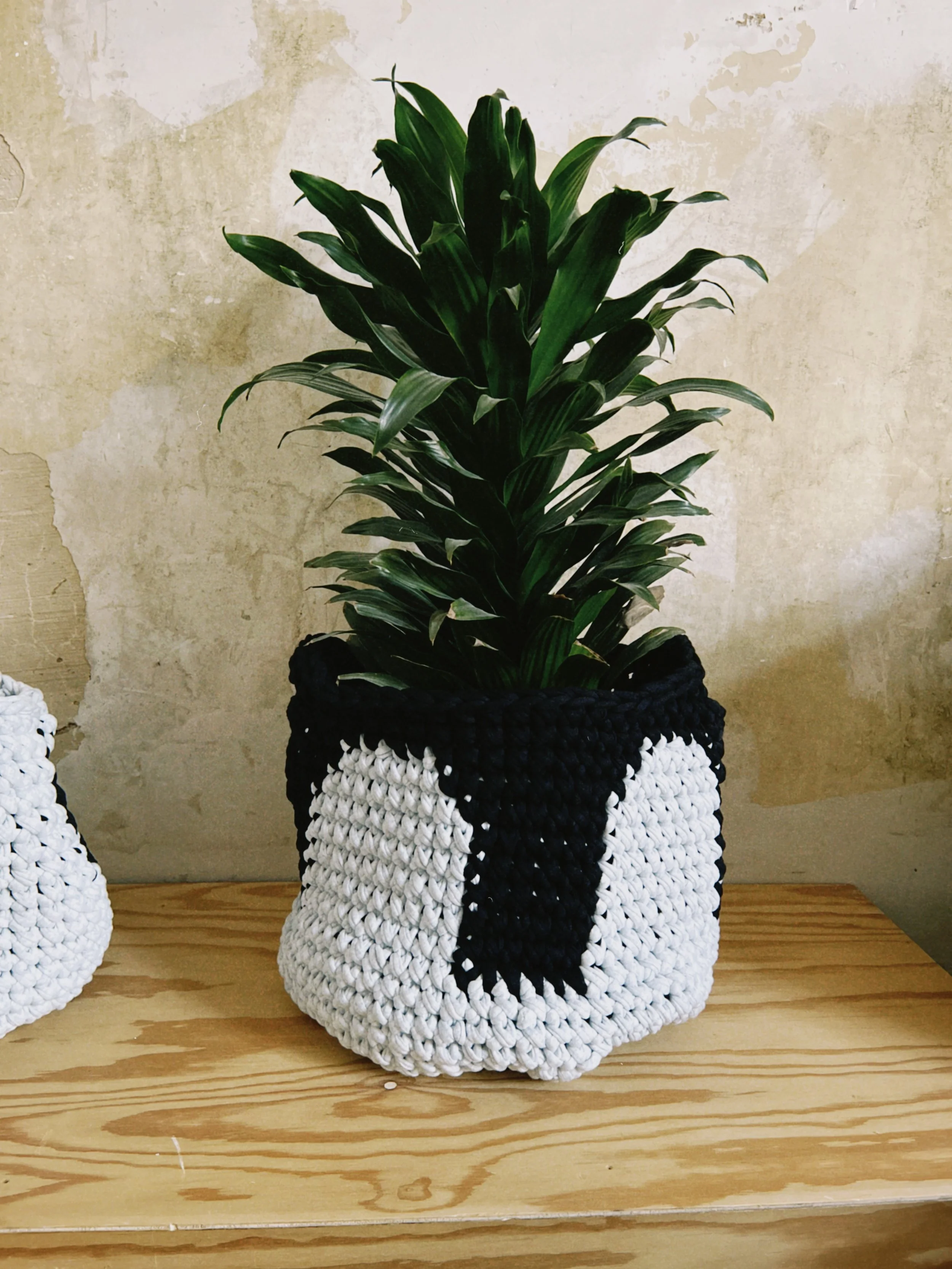 dclassic 2025-12-27 141253.412.jpeg