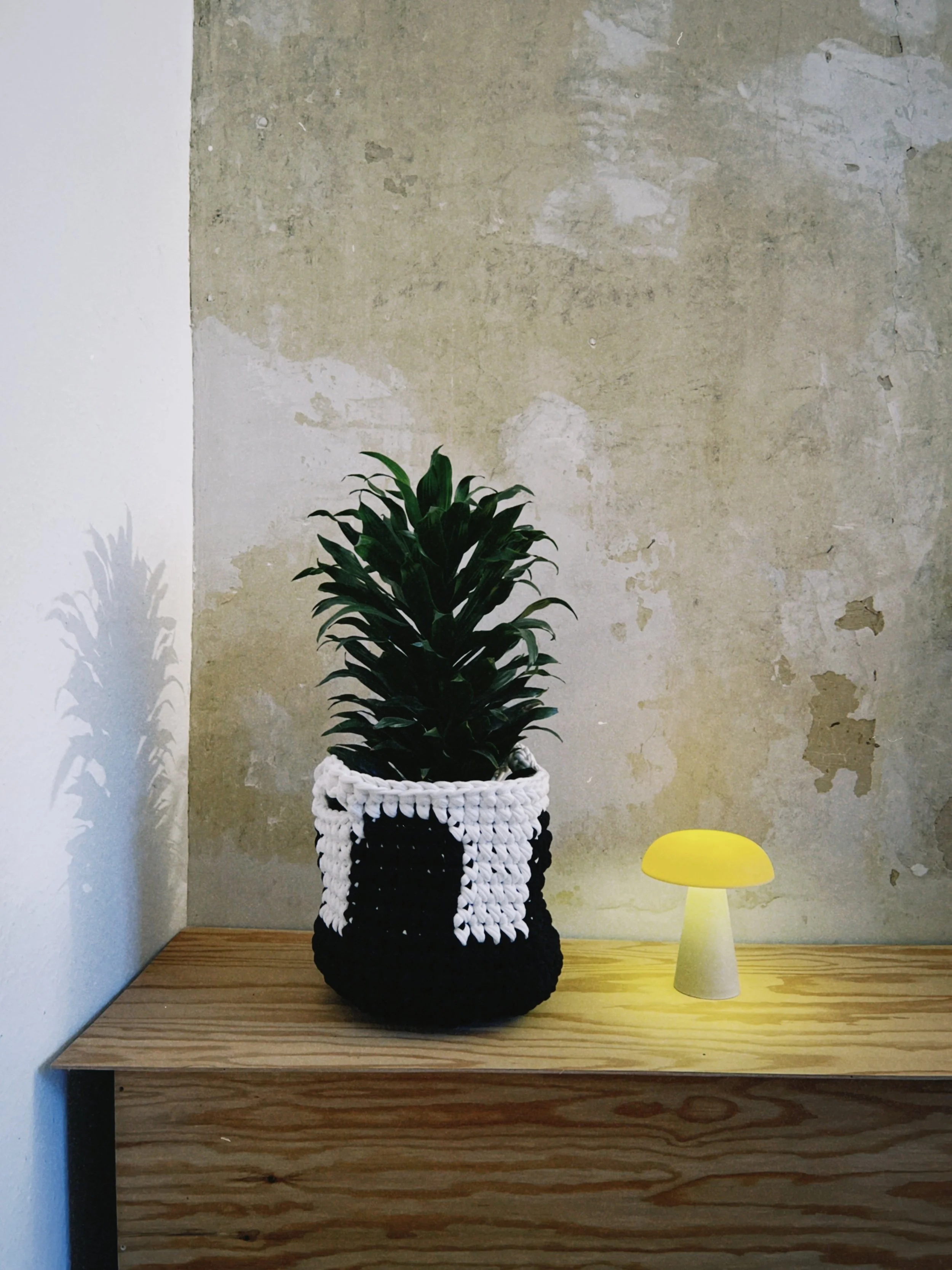 dclassic 2026-01-27 1600103B3A4A5BB880.jpeg