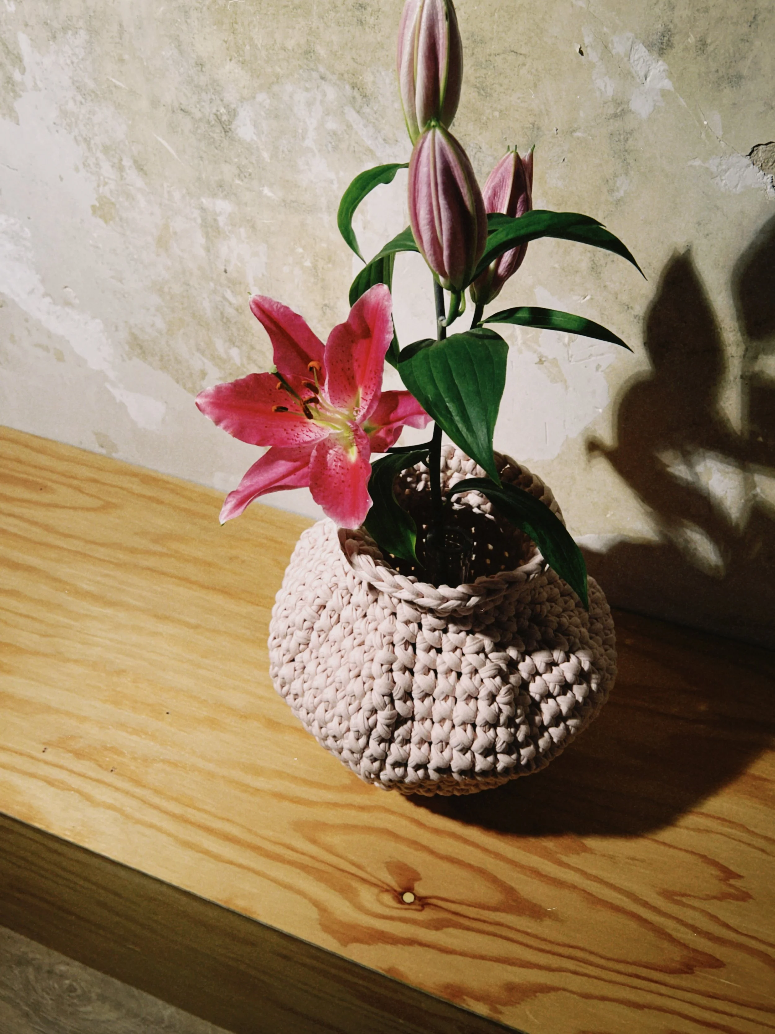 dclassic 2026-03-24 190342CB80E1B009F3.jpeg