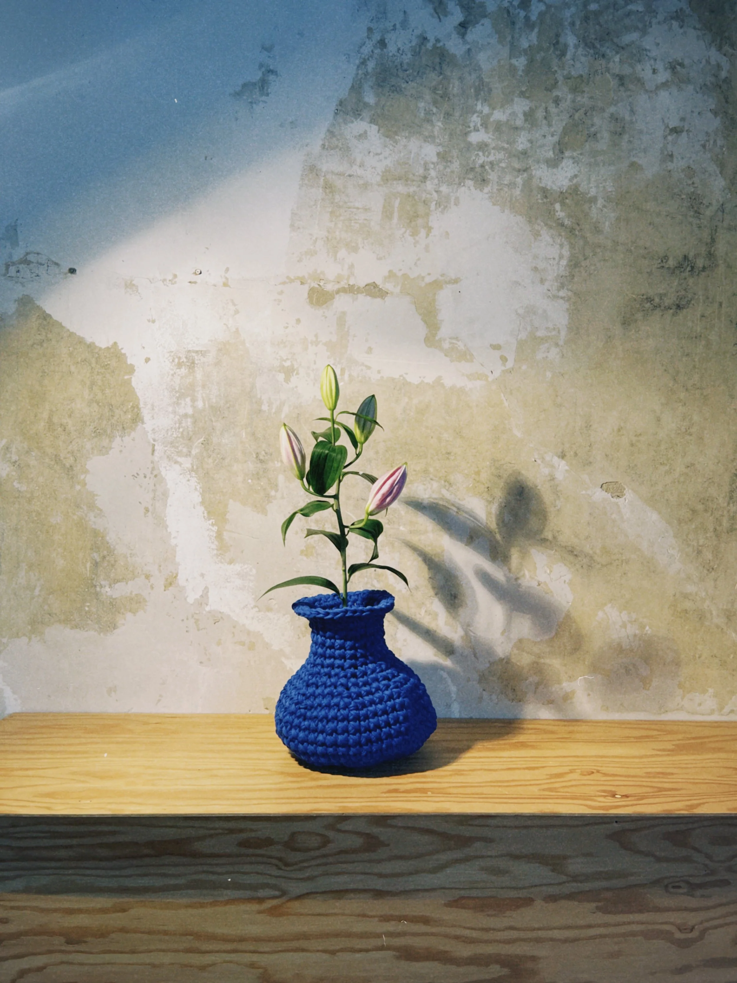 dclassic 2026-03-20 172508E884A4288AD2.jpeg